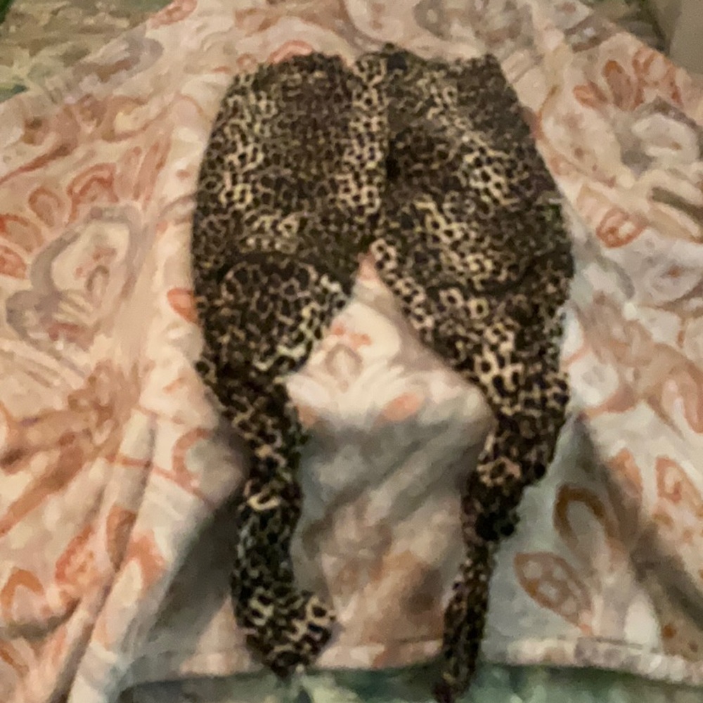 Women’s pants